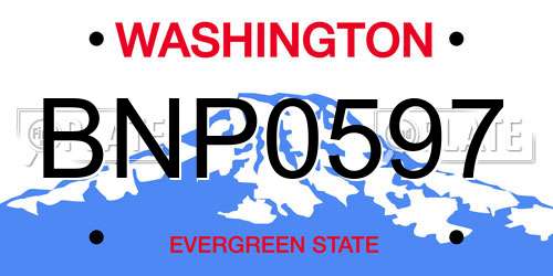 BNP0597 Washington License Plate