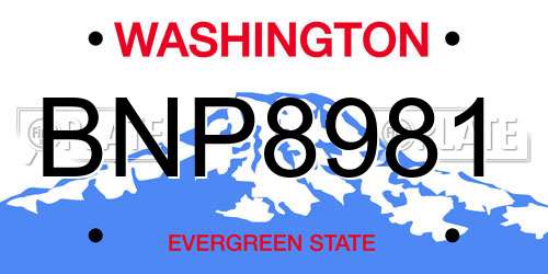 BNP8981 Washington License Plate