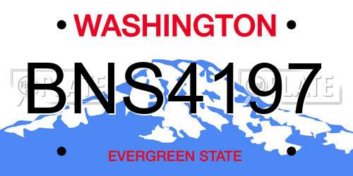 BNS4197 Washington License Plate