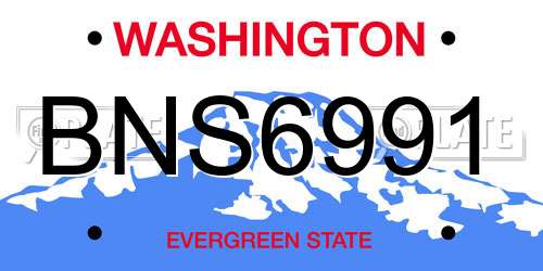 BNS6991 Washington License Plate