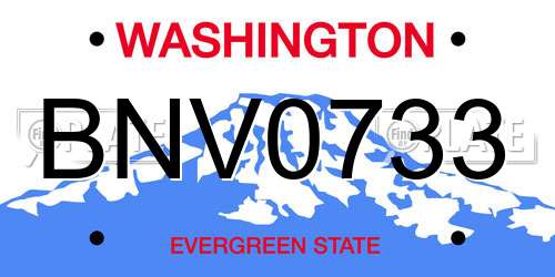 BNV0733 Washington License Plate