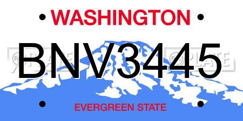 BNV3445 Washington License Plate