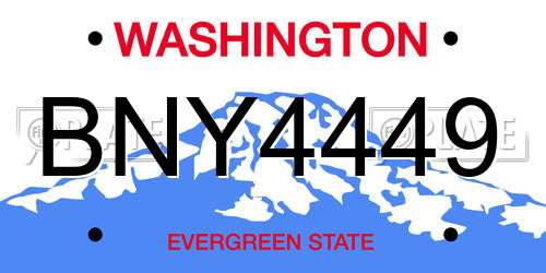 BNY4449 Washington License Plate