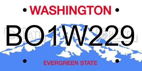 BO1W229 Washington License Plate