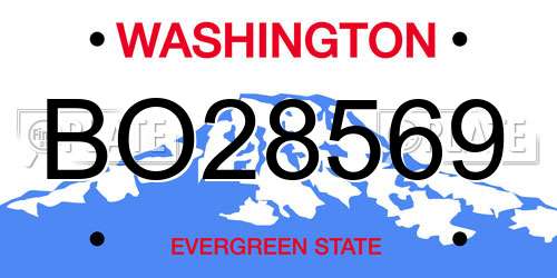 BO28569 Washington License Plate
