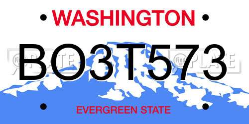 BO3T573 Washington License Plate