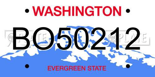 BO50212 Washington License Plate