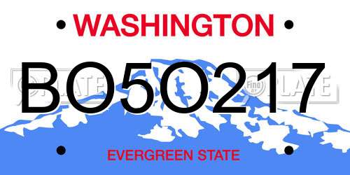 BO5O217 Washington License Plate