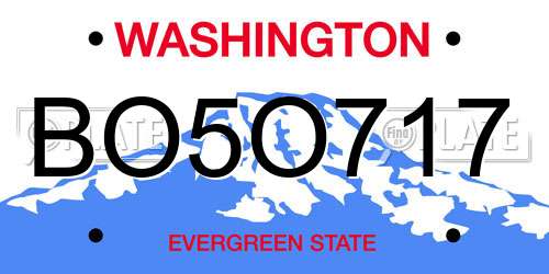 BO5O717 Washington License Plate