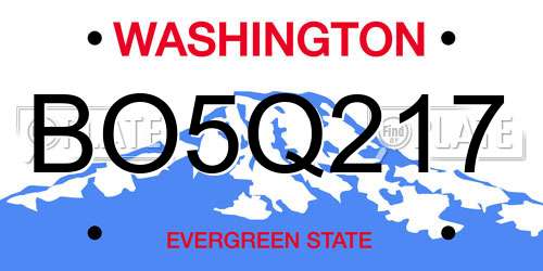 BO5Q217 Washington License Plate
