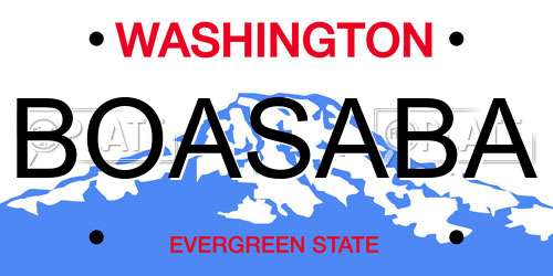 BOASABA Washington License Plate