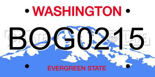 BOG0215 Washington License Plate