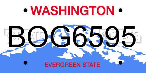 BOG6595 Washington License Plate
