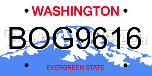 BOG9616 Washington License Plate