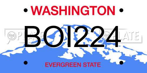 BOI224 Washington License Plate