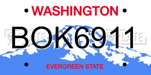 BOK6911 Washington License Plate