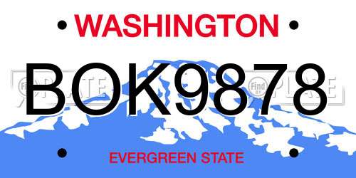 BOK9878 Washington License Plate