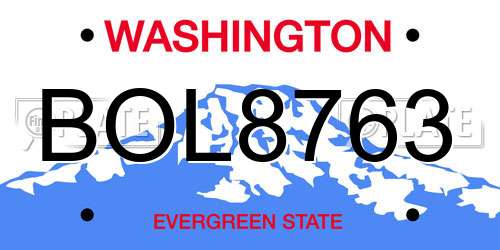BOL8763 Washington License Plate