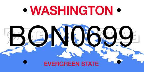 BON0699 Washington License Plate
