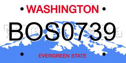 BOS0739 Washington License Plate