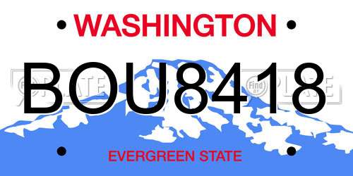 BOU8418 Washington License Plate