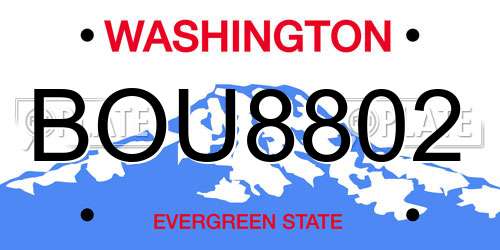 BOU8802 Washington License Plate
