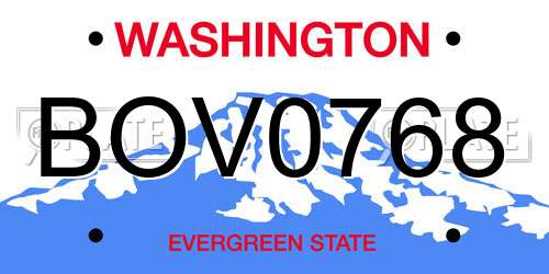 BOV0768 Washington License Plate