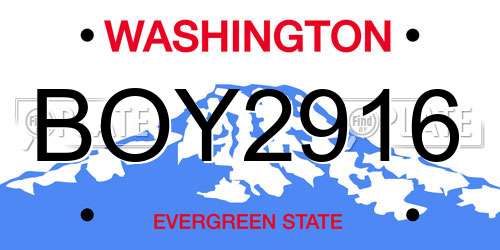 BOY2916 Washington License Plate