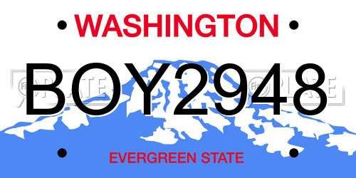 BOY2948 Washington License Plate
