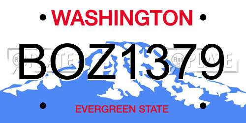 BOZ1379 Washington License Plate
