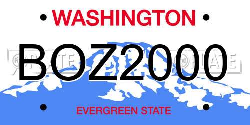 BOZ2000 Washington License Plate