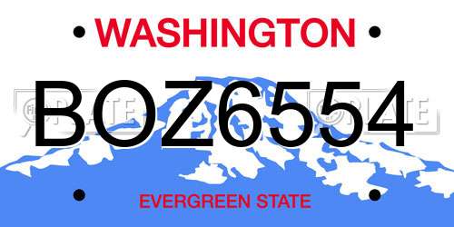BOZ6554 Washington License Plate