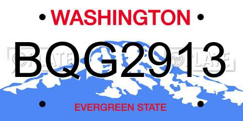 BQG2913 Washington License Plate