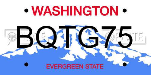 BQTG75 Washington License Plate