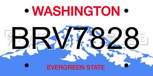 BRV7828 Washington License Plate