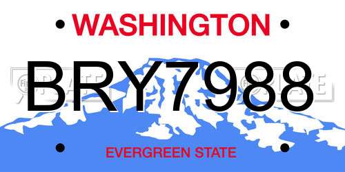BRY7988 Washington License Plate