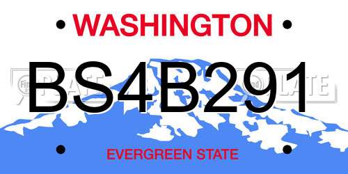 BS4B291 Washington License Plate