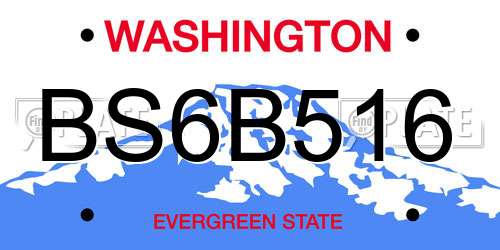 BS6B516 Washington License Plate