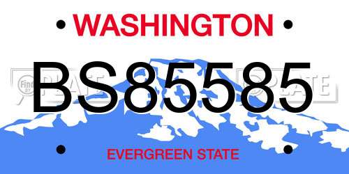 BS85585 Washington License Plate