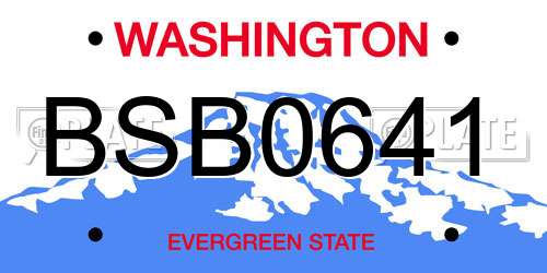 BSB0641 Washington License Plate