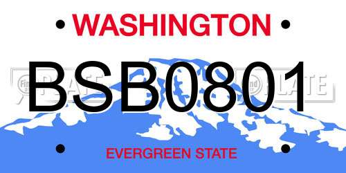 BSB0801 Washington License Plate