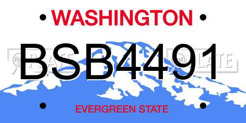 BSB4491 Washington License Plate