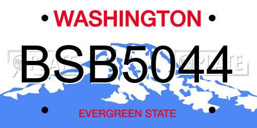 BSB5044 Washington License Plate