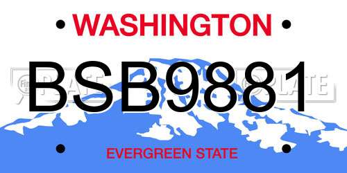 BSB9881 Washington License Plate