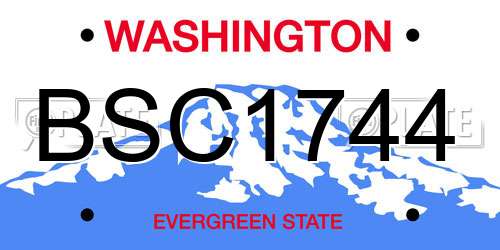 BSC1744 Washington License Plate