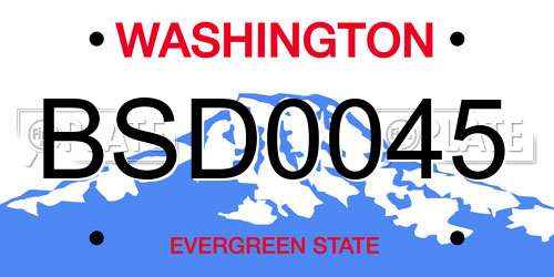 BSD0045 Washington License Plate