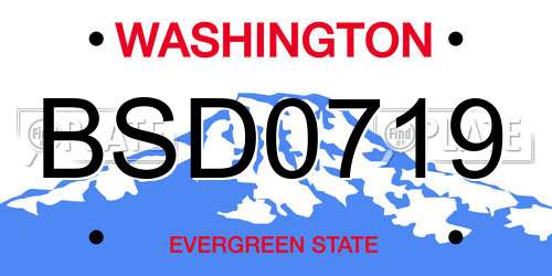 BSD0719 Washington License Plate