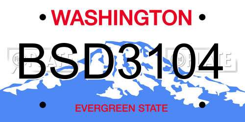 BSD3104 Washington License Plate