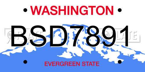 BSD7891 Washington License Plate