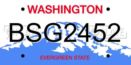 BSG2452 Washington License Plate